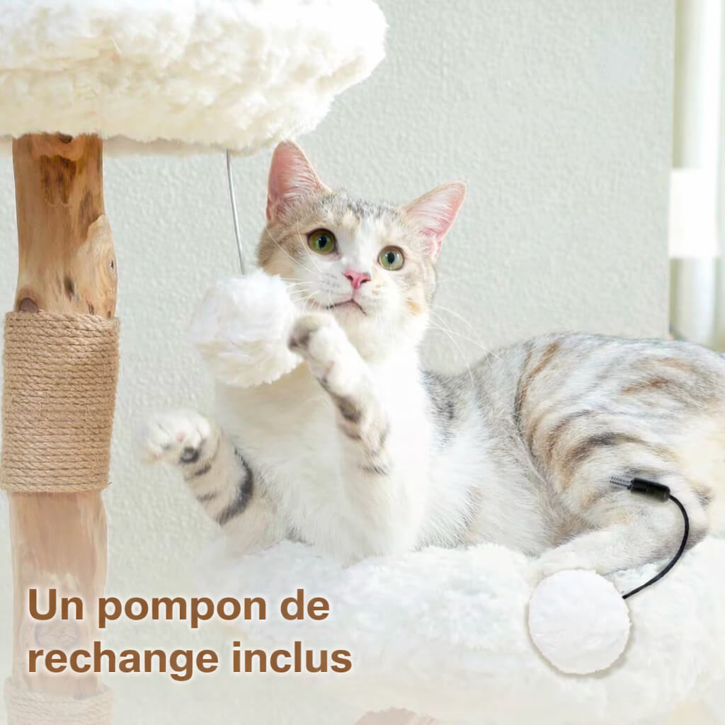 Arbre à Chat Bois Naturel Canopée Sauvage™