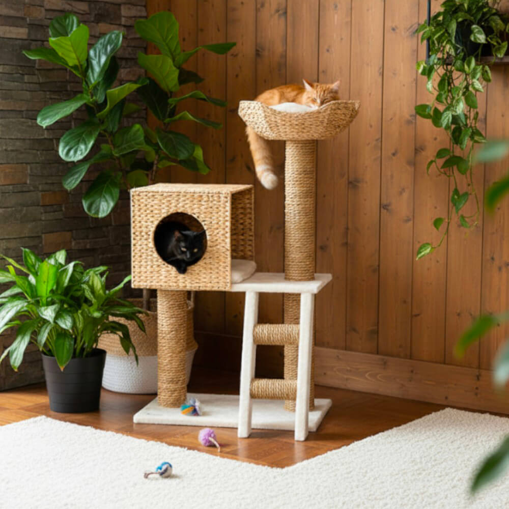 Arbre à Chat Naturel Canopée Féline™