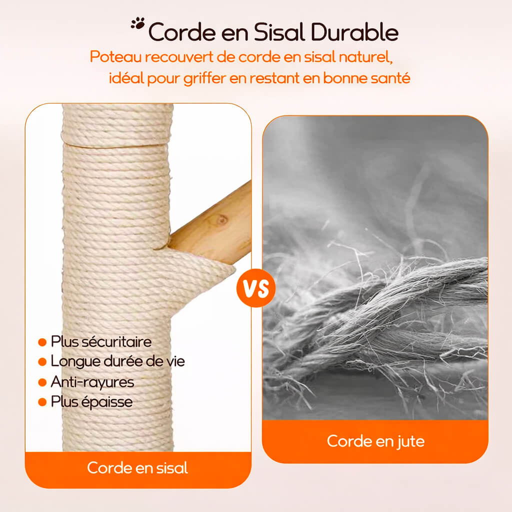 Arbre à Chat Bois Flotté SylvaCat™