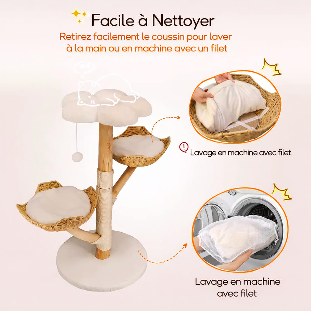 Arbre à Chat Bois Flotté SylvaCat™