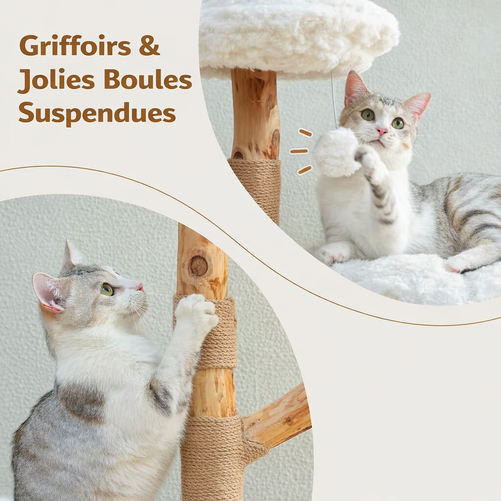 Arbre à Chat Bois Naturel Canopée Sauvage™