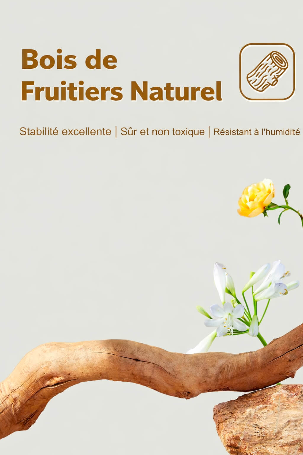 Arbre à Chat Bois Naturel Canopée Sauvage™