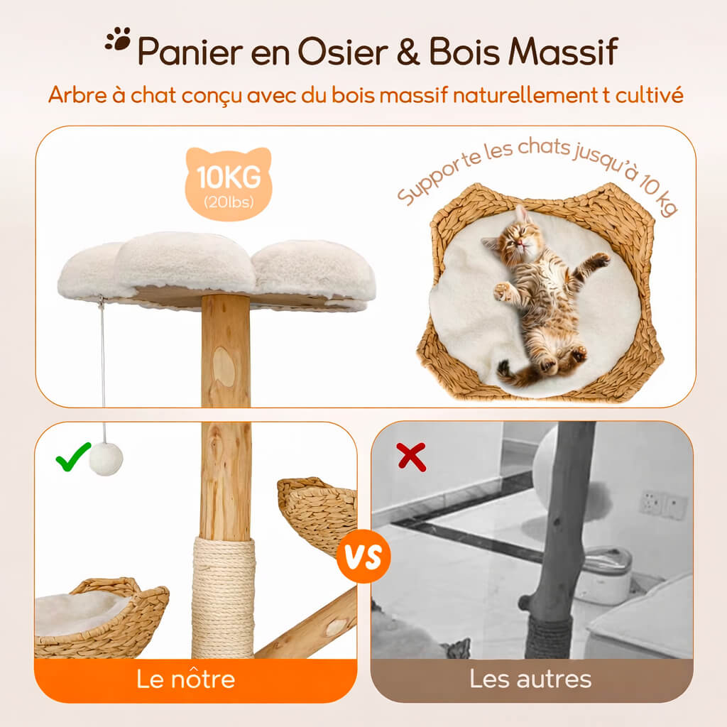 Arbre à Chat Bois Flotté SylvaCat™