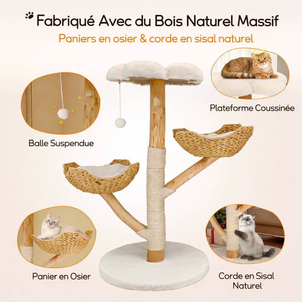 Arbre à Chat Bois Flotté SylvaCat™