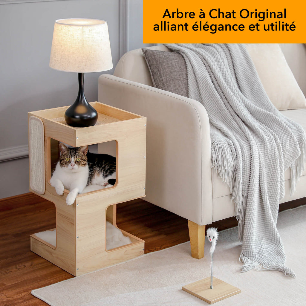 arbre à chat griffoir