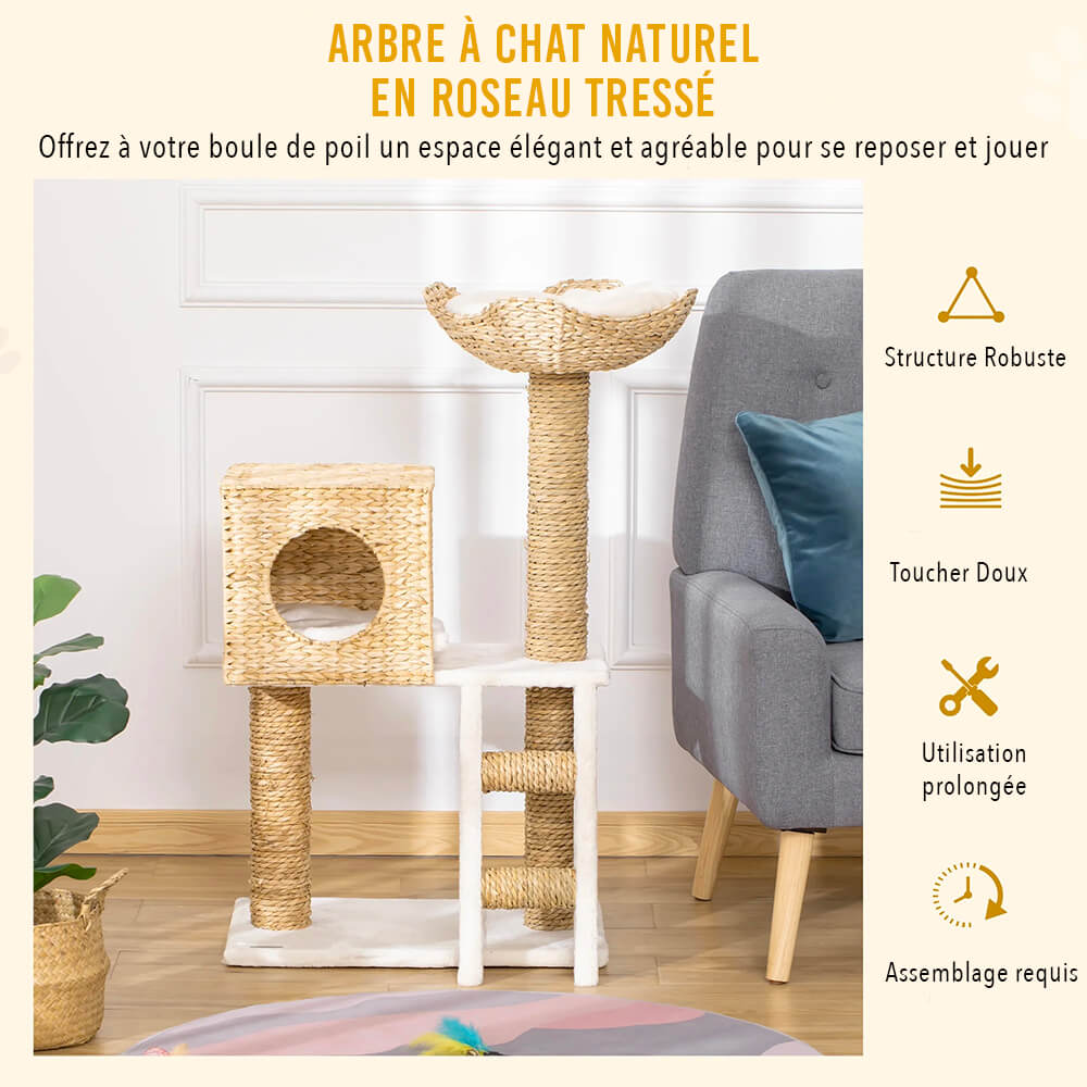 Arbre à Chat Naturel Canopée Féline™