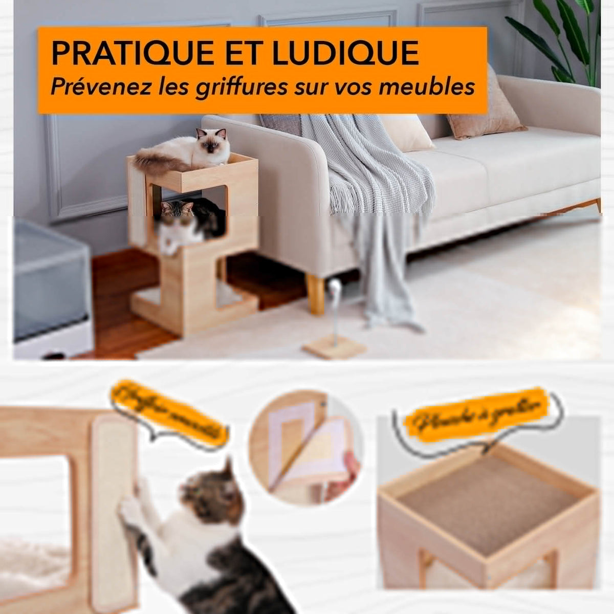 arbre à chat solide et stable