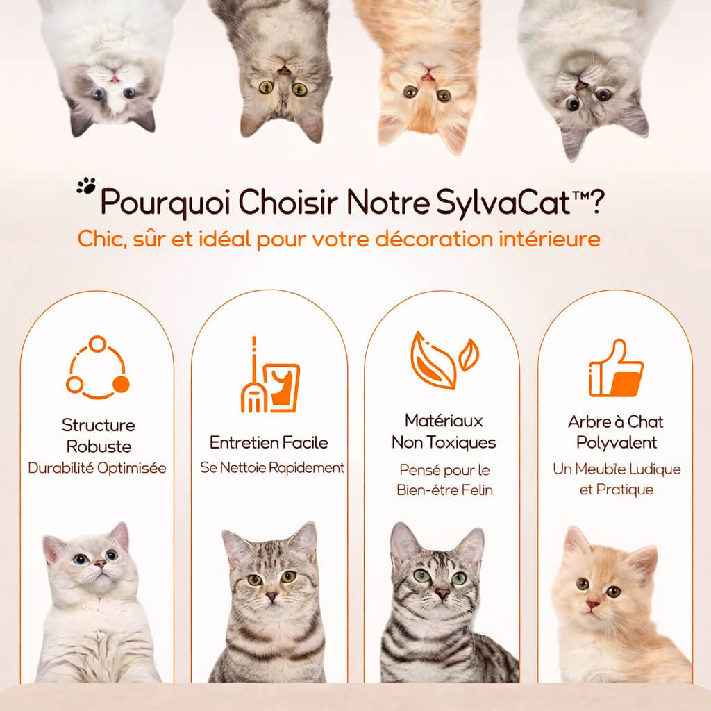 Arbre à Chat Bois Flotté SylvaCat™