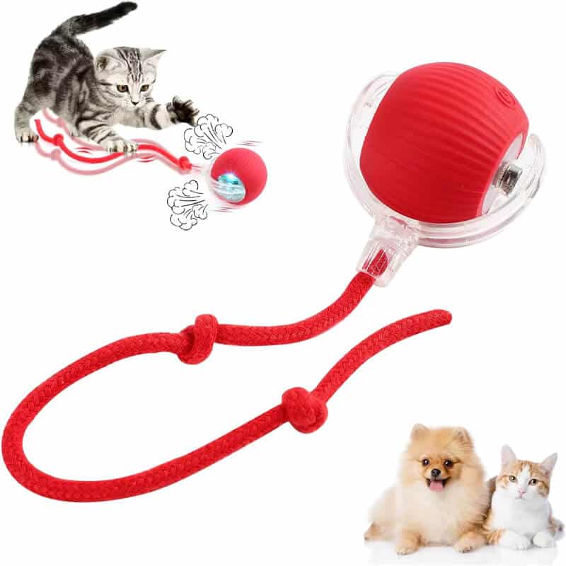 balle-interactive-intelligente-pour-chat-et-chien