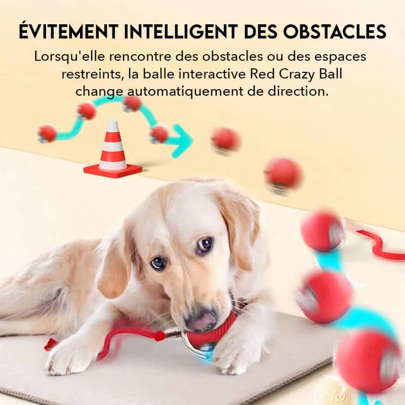 balle-interactive-intelligente