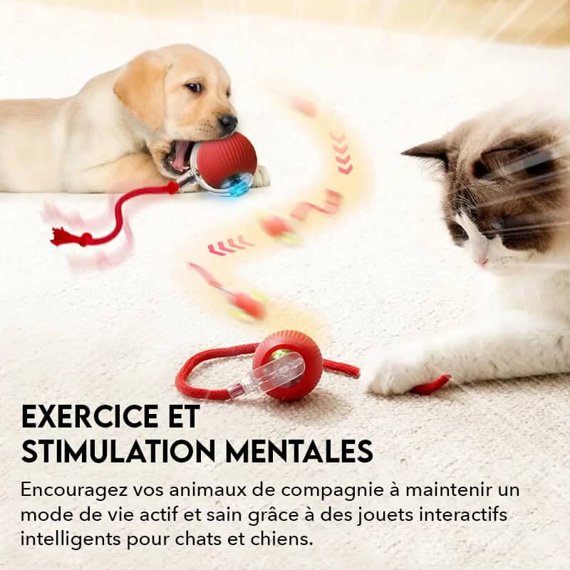balle-interactive-pour-chat-et-chien