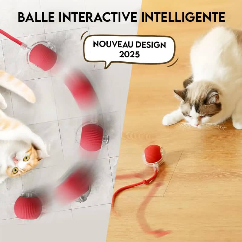 balle-interactive-pour-chat-nouveau-design-2025
