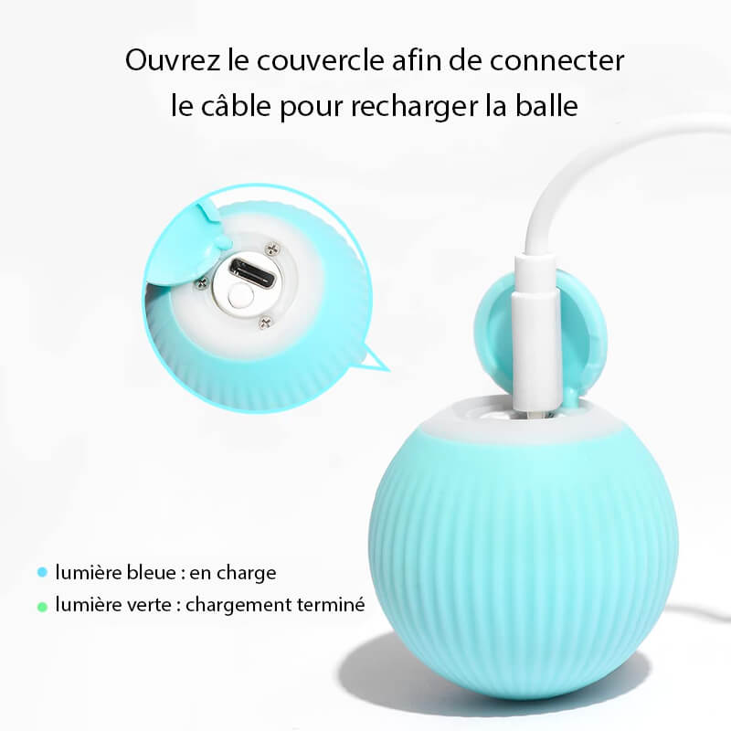 balle interactive pour chat