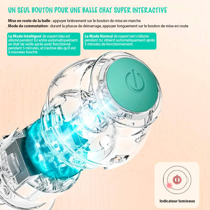 balle pour chat qui roule toute seule