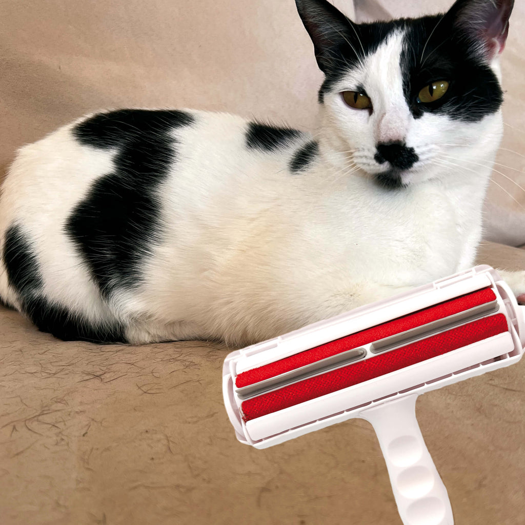 Brosse Anti-Poils Roll'N Clean Pet™