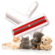Brosse Anti-Poils Roll'N Clean Pet™