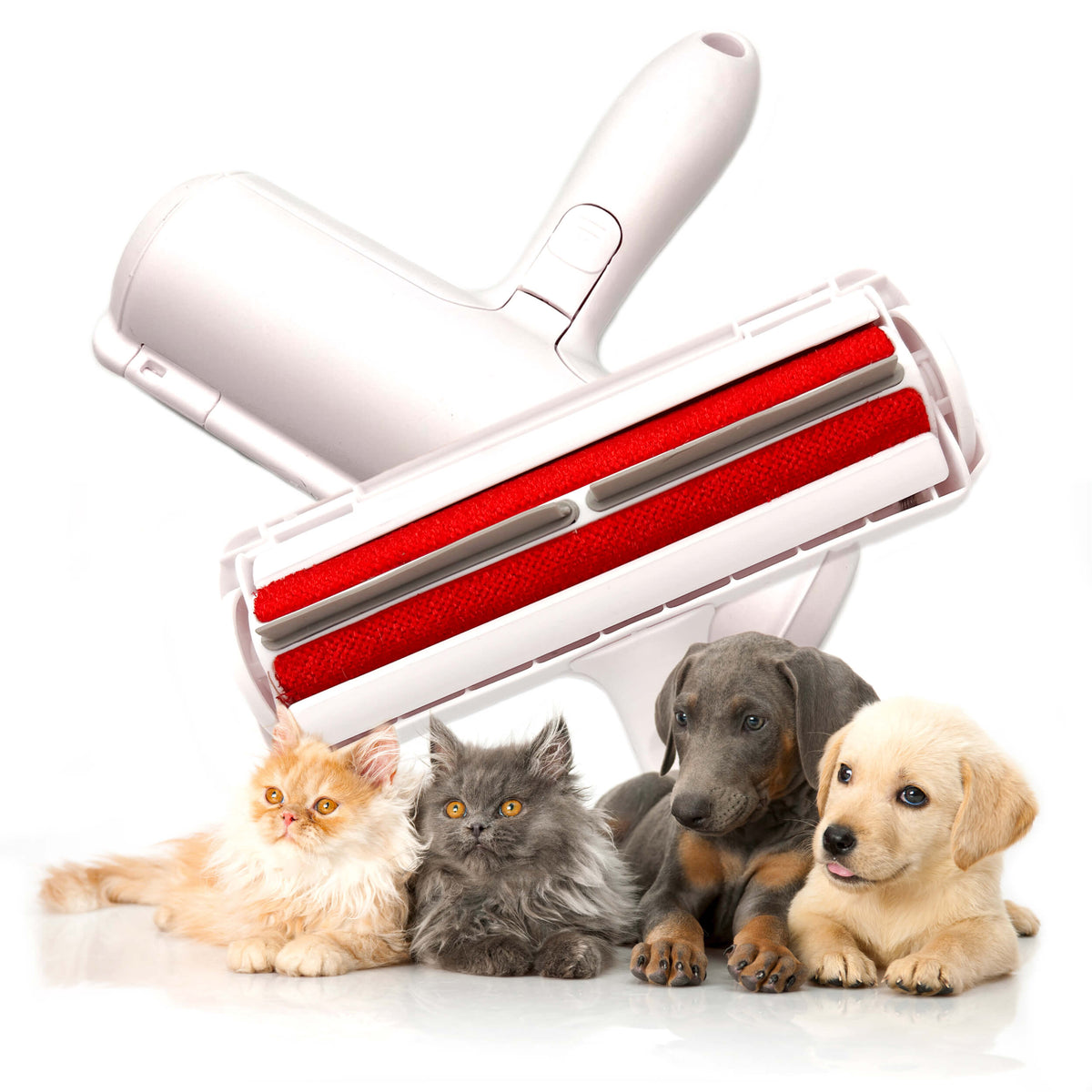 Brosse Anti-Poils Roll'N Clean Pet™