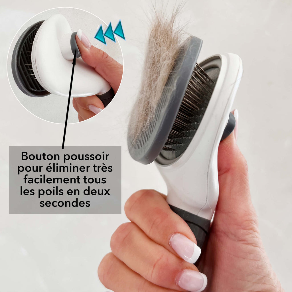 Brosse pour Chat et Chien Poil'Zen™