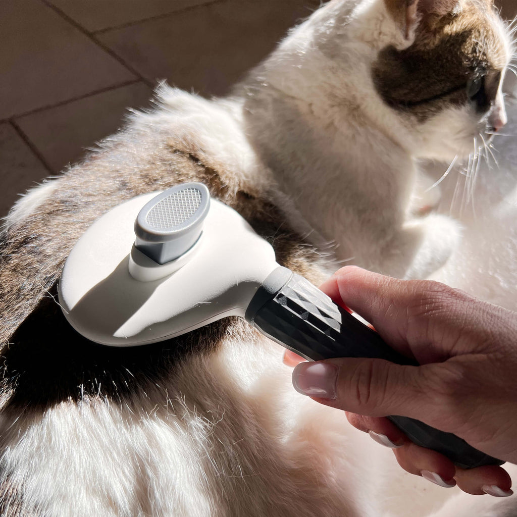 Brosse pour Chat et Chien Poil'Zen™