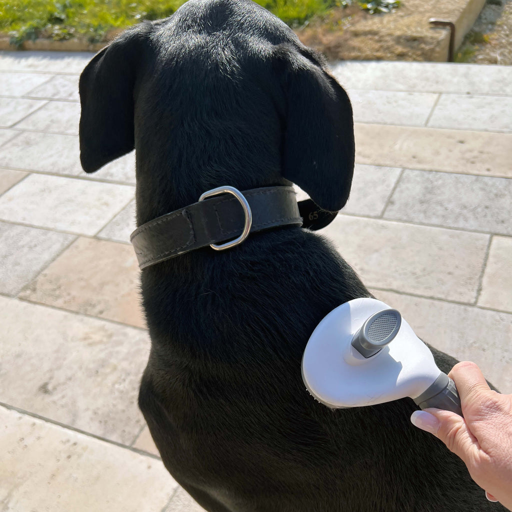 Brosse pour Chat et Chien Poil'Zen™