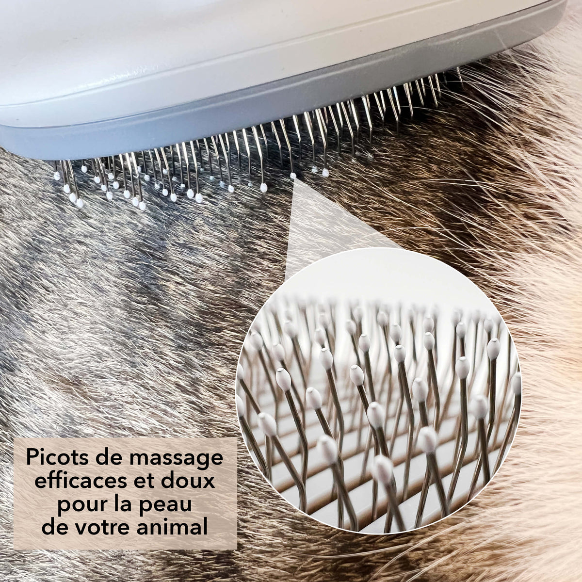 Brosse pour Chat et Chien Poil'Zen™