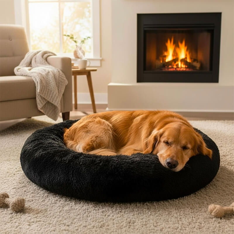 Coussin Chat et Chien Royal Paws™
