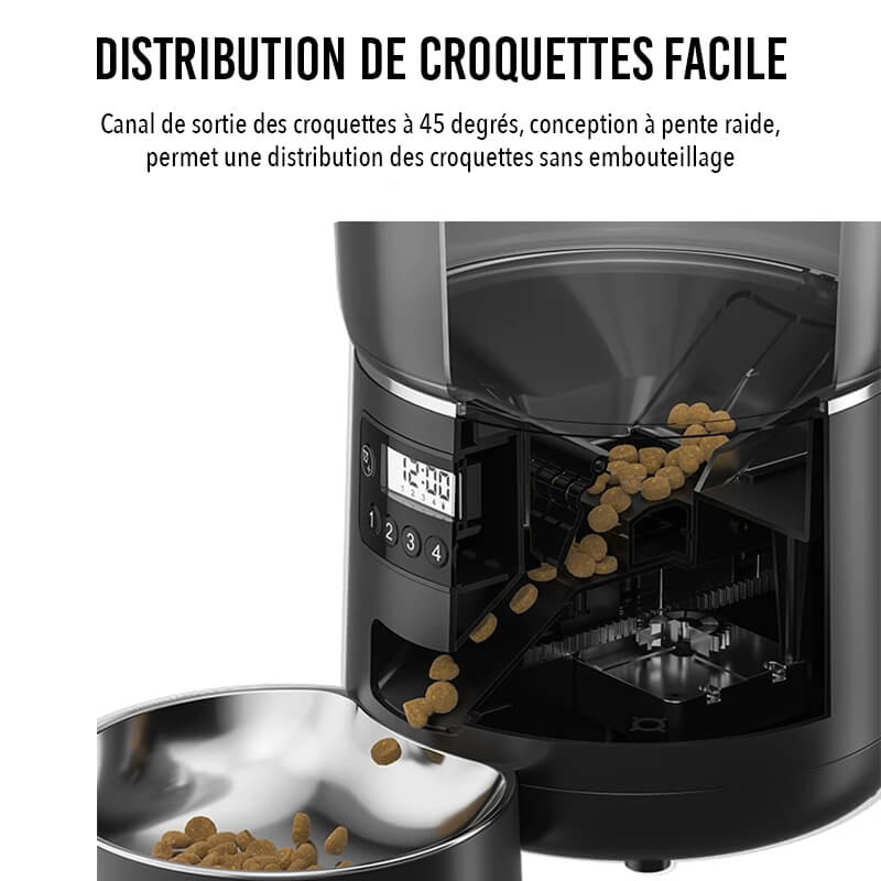Distributeur Croquettes Chat Automatique Croq'Zen™