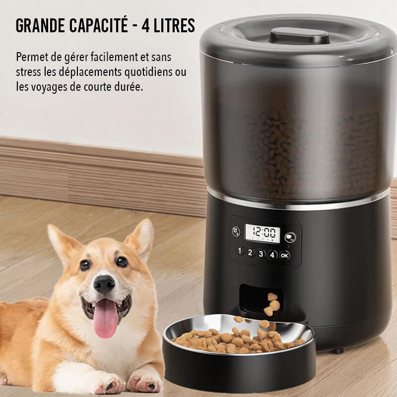 Distributeur Croquettes Chat Automatique Croq'Zen™