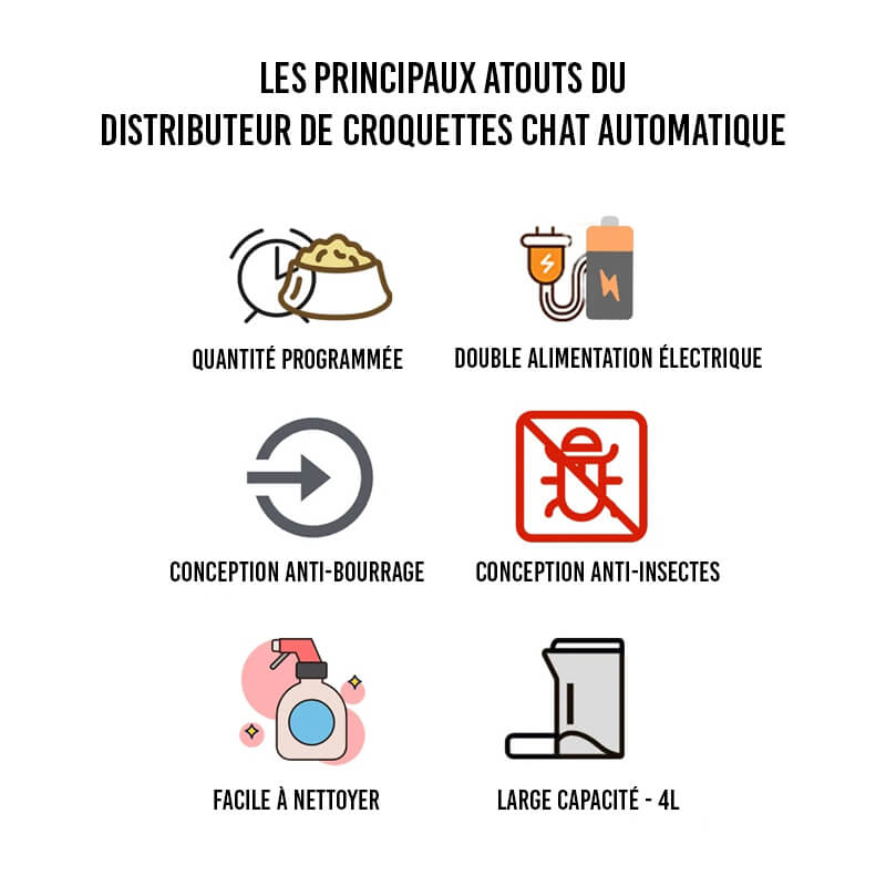 Distributeur Croquettes Chat Automatique Croq'Zen™