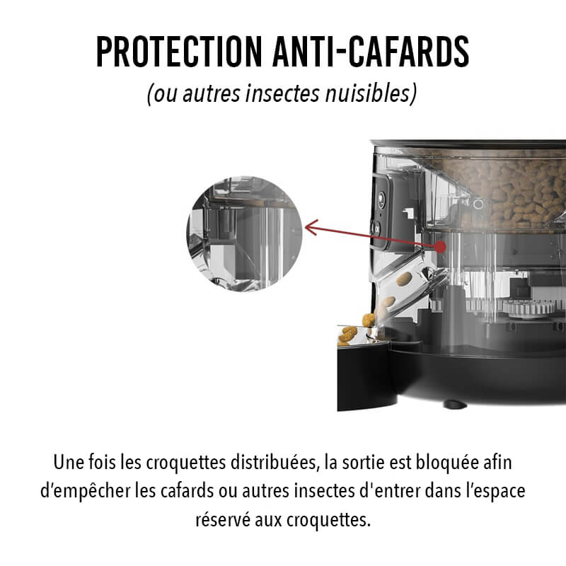 Distributeur Croquettes Chat Automatique Croq'Zen™