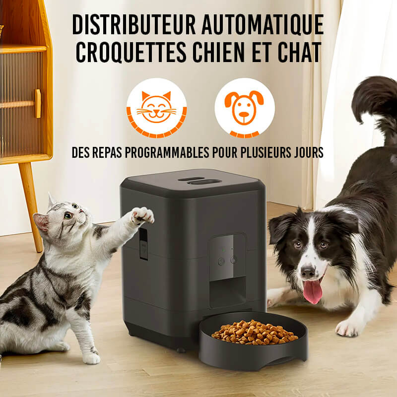 Distributeur Croquette Chat Automatique FeedPilot™