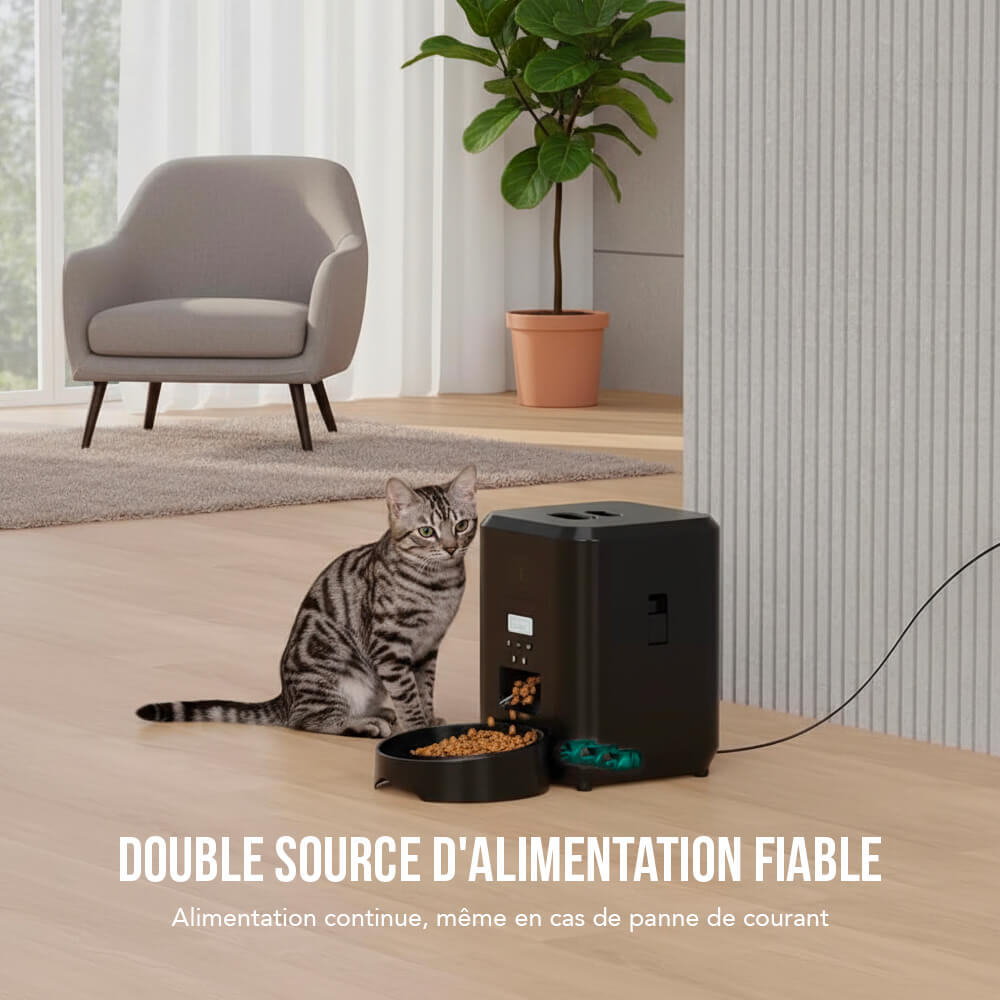 Distributeur Croquette Chat Automatique FeedPilot™