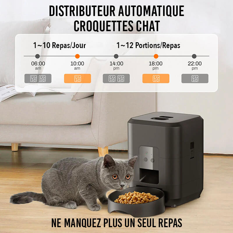 Distributeur Croquette Chat Automatique FeedPilot™