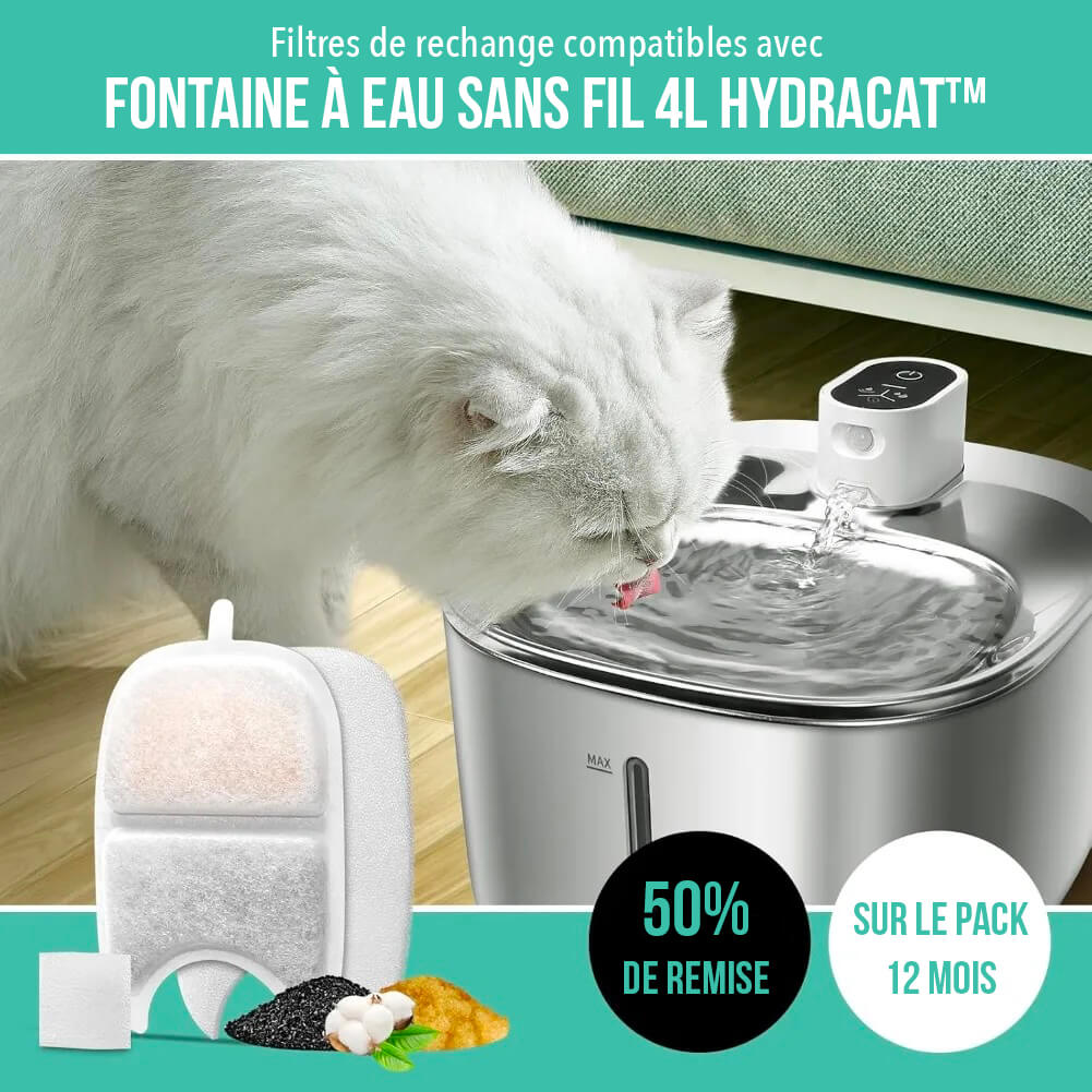Pack de 12 Filtres Fontaine à Eau Chat