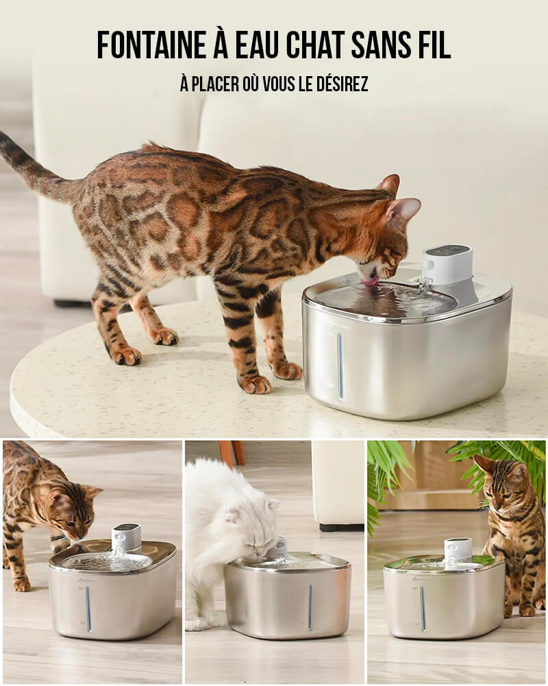 Fontaine à Eau pour Chat HydraCat™
