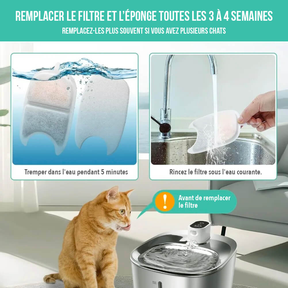 Pack de 12 Filtres Fontaine à Eau Chat