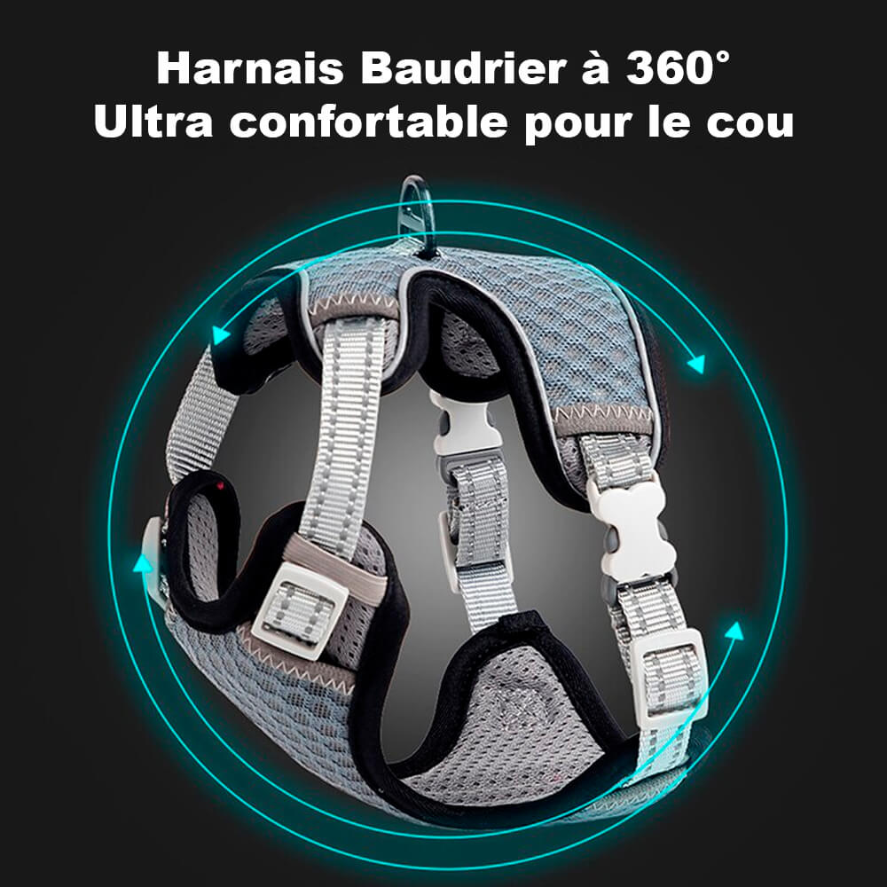 Harnais Chat Anti-Fugue CutePet™