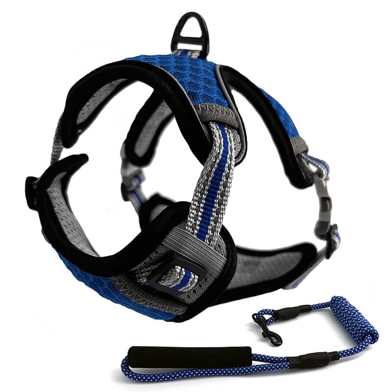 Harnais Chat Anti-Fugue CutePet™