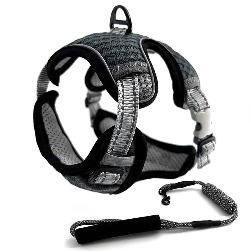 Harnais Chat Anti-Fugue CutePet™