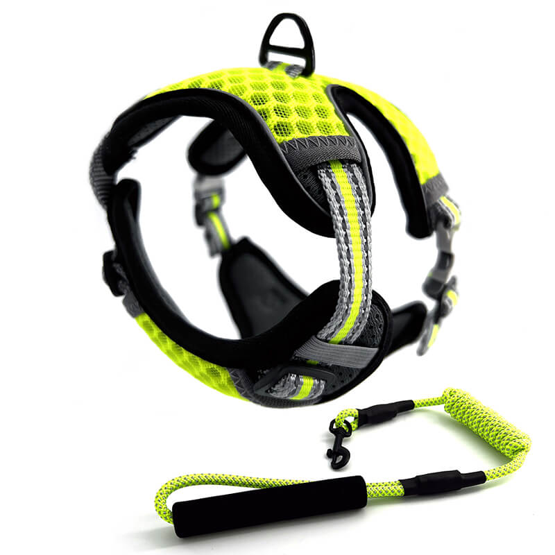 Harnais Chat Anti-Fugue CutePet™