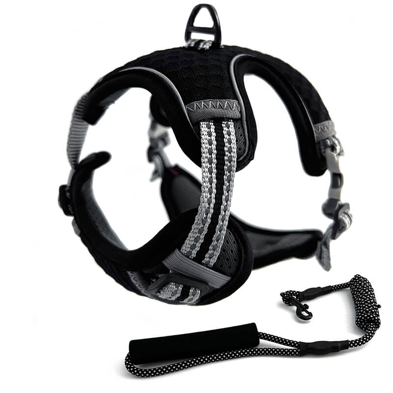 Harnais Chat Anti-Fugue CutePet™