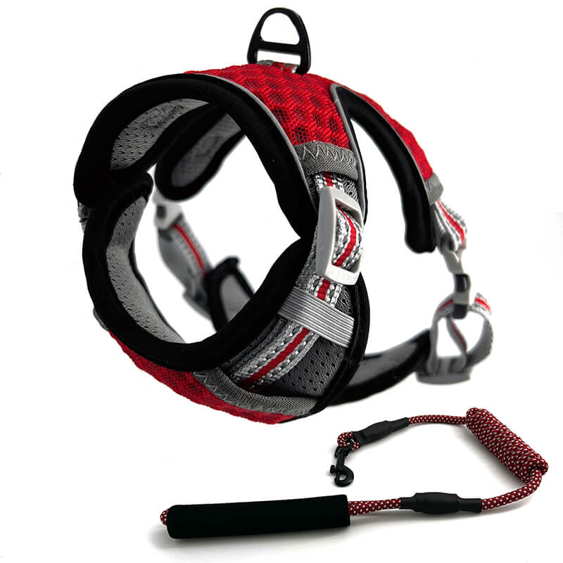 Harnais Chat Anti-Fugue CutePet™