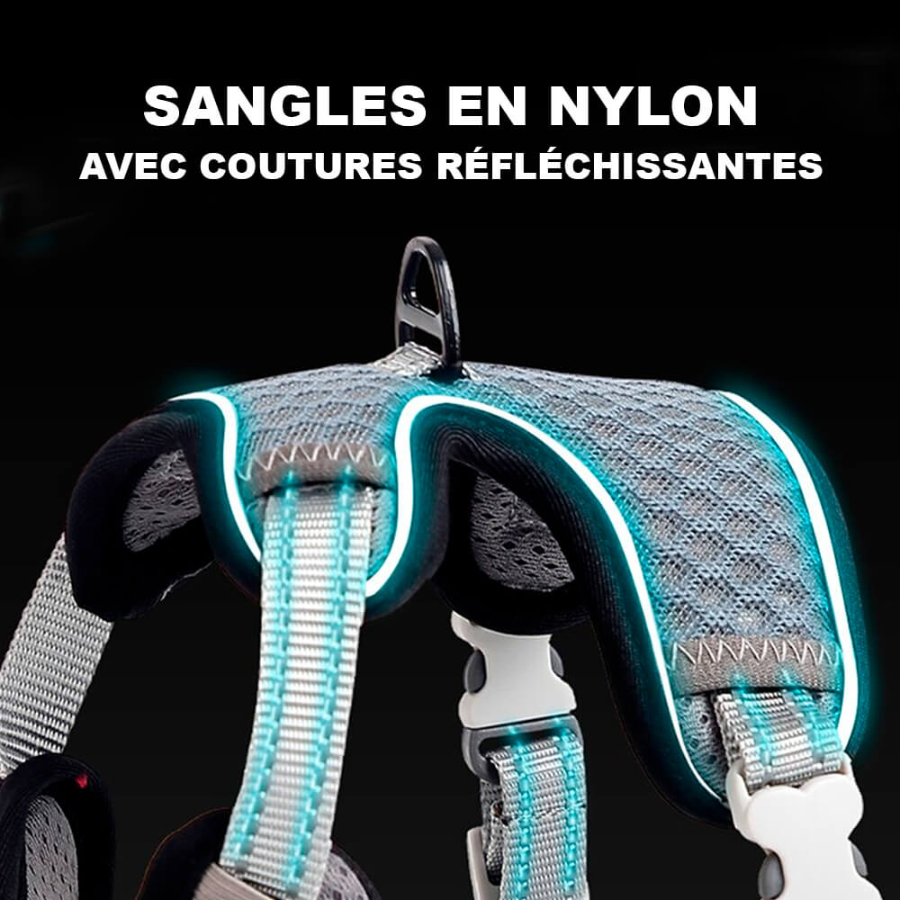 Harnais Chat Anti-Fugue CutePet™