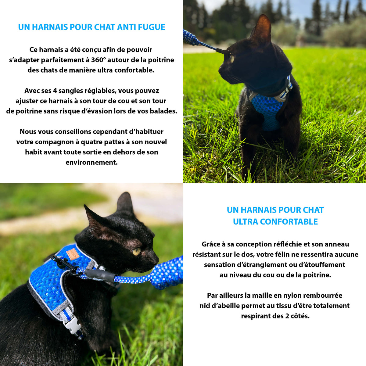 Harnais Chat Anti-Fugue CutePet™