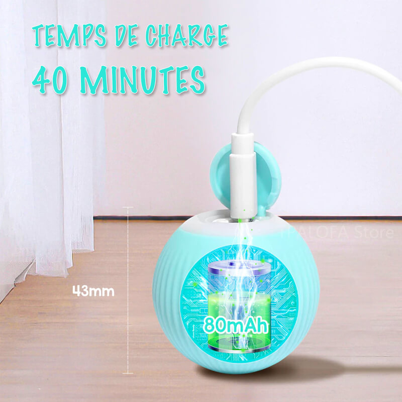 jouet intelligent pour chat