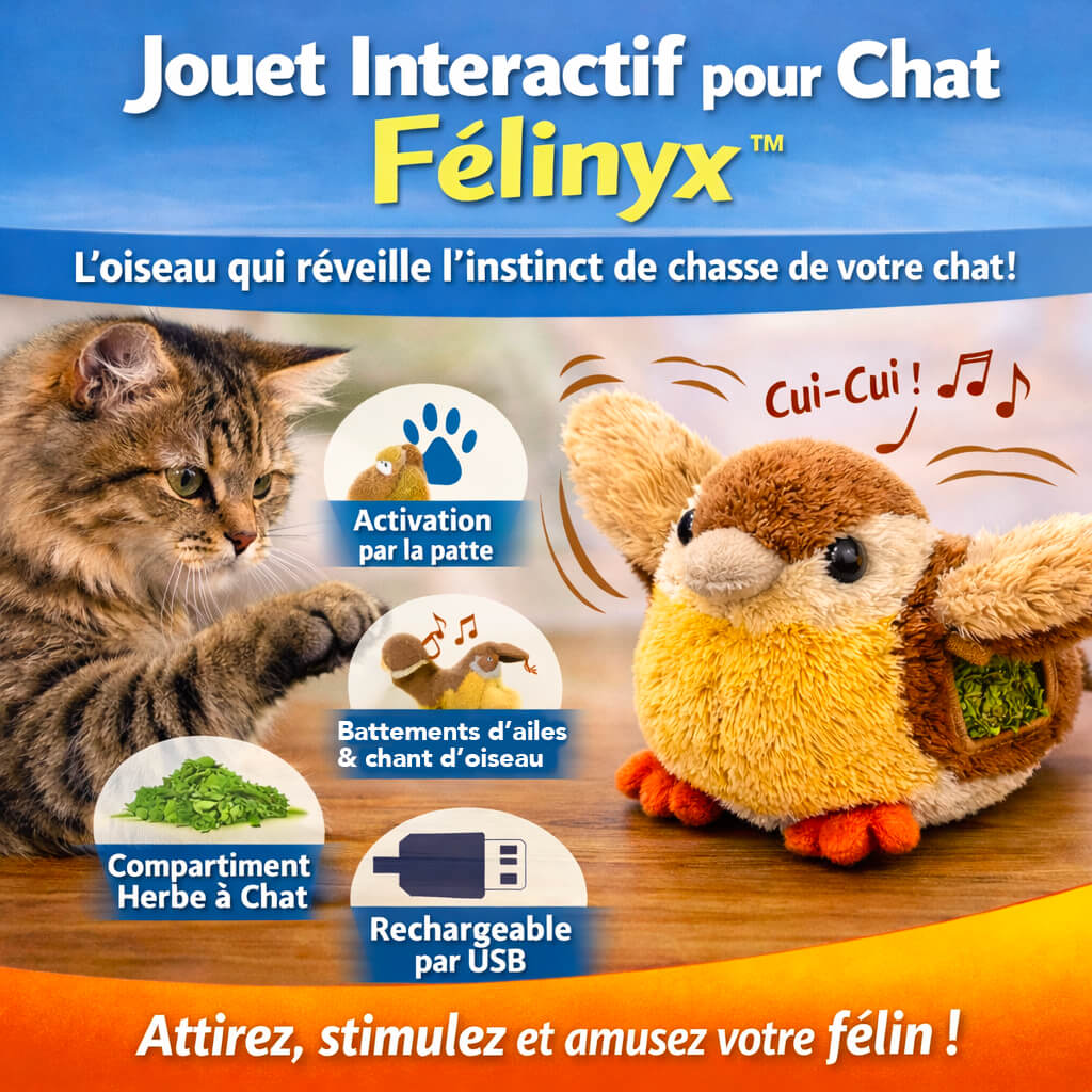 Jouet Interactif pour Chat Félinyx™