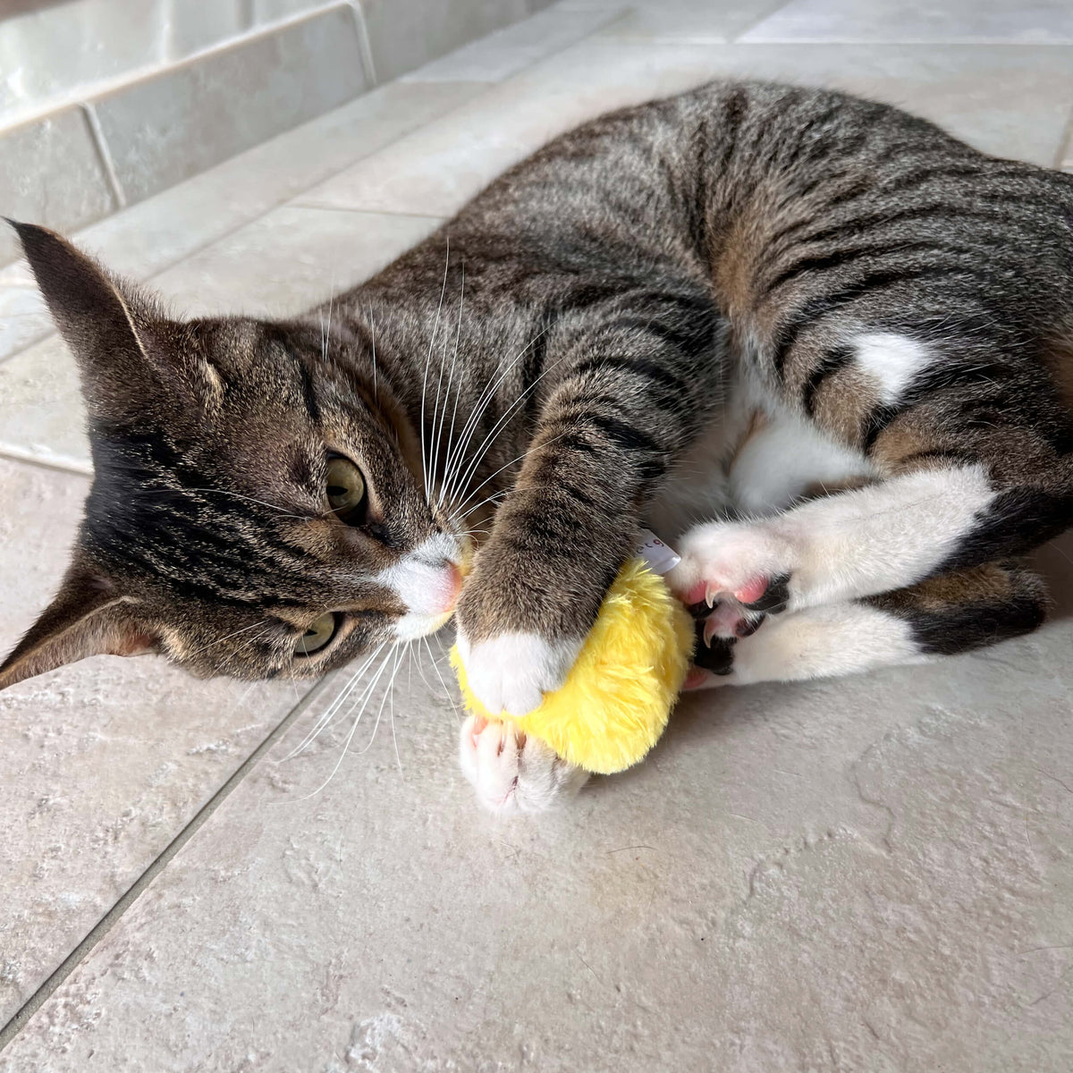 Balle Interactive pour Chat CutePet™