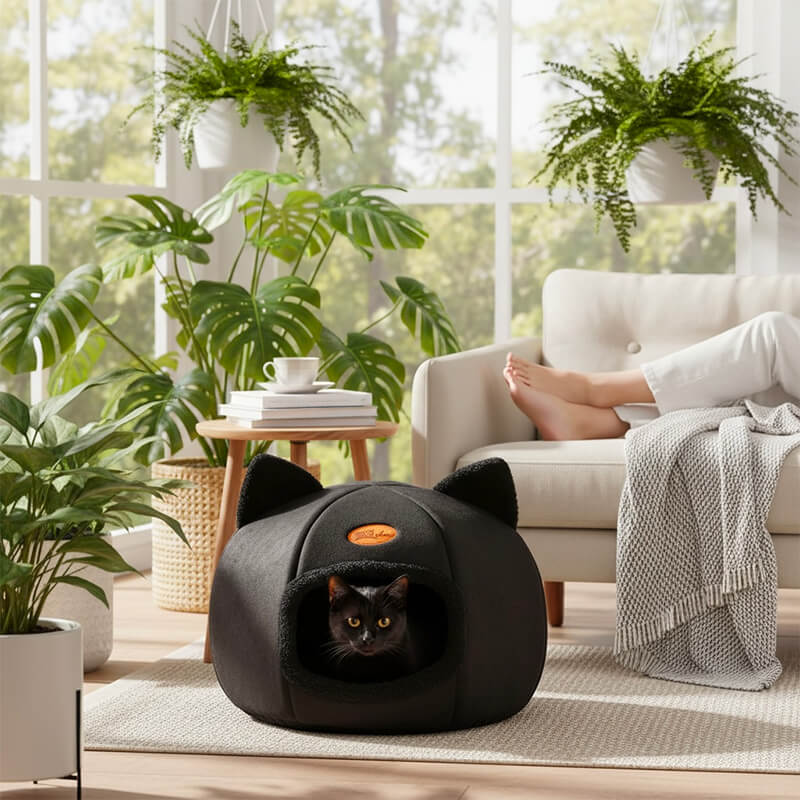 Panier Chat L'Igloo des Ronrons™