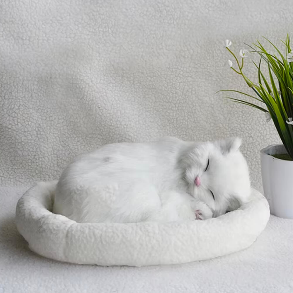 Peluche Chat Réaliste Chat'Zen™