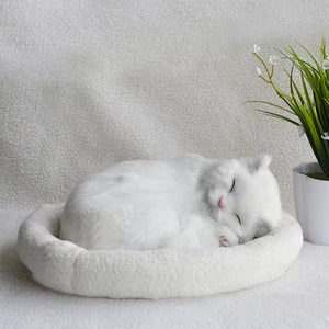 Peluche Chat Réaliste Chat'Zen™